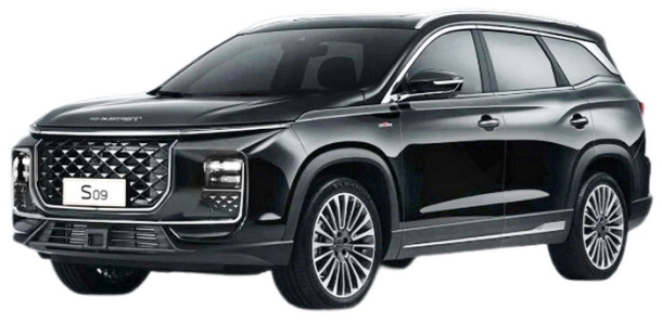 Автомобильные коврики EVA для Soueast S09 (2024->)