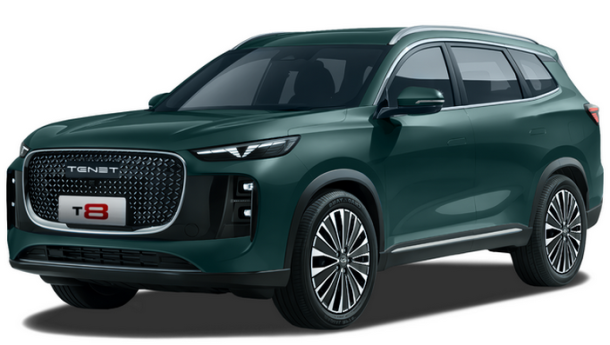 Автомобильные коврики EVA 3D для TENET T8 (2025->)