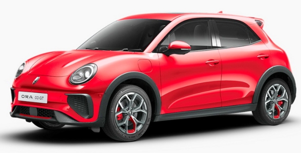 Автомобильные коврики EVA 3D для Ora 03 (2023->)